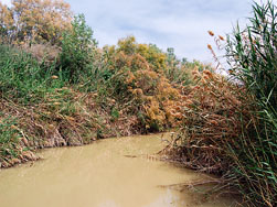 The Jordan River at "Bethany beyond the Jordan." Photo by Ferrell Jenkins 2008.